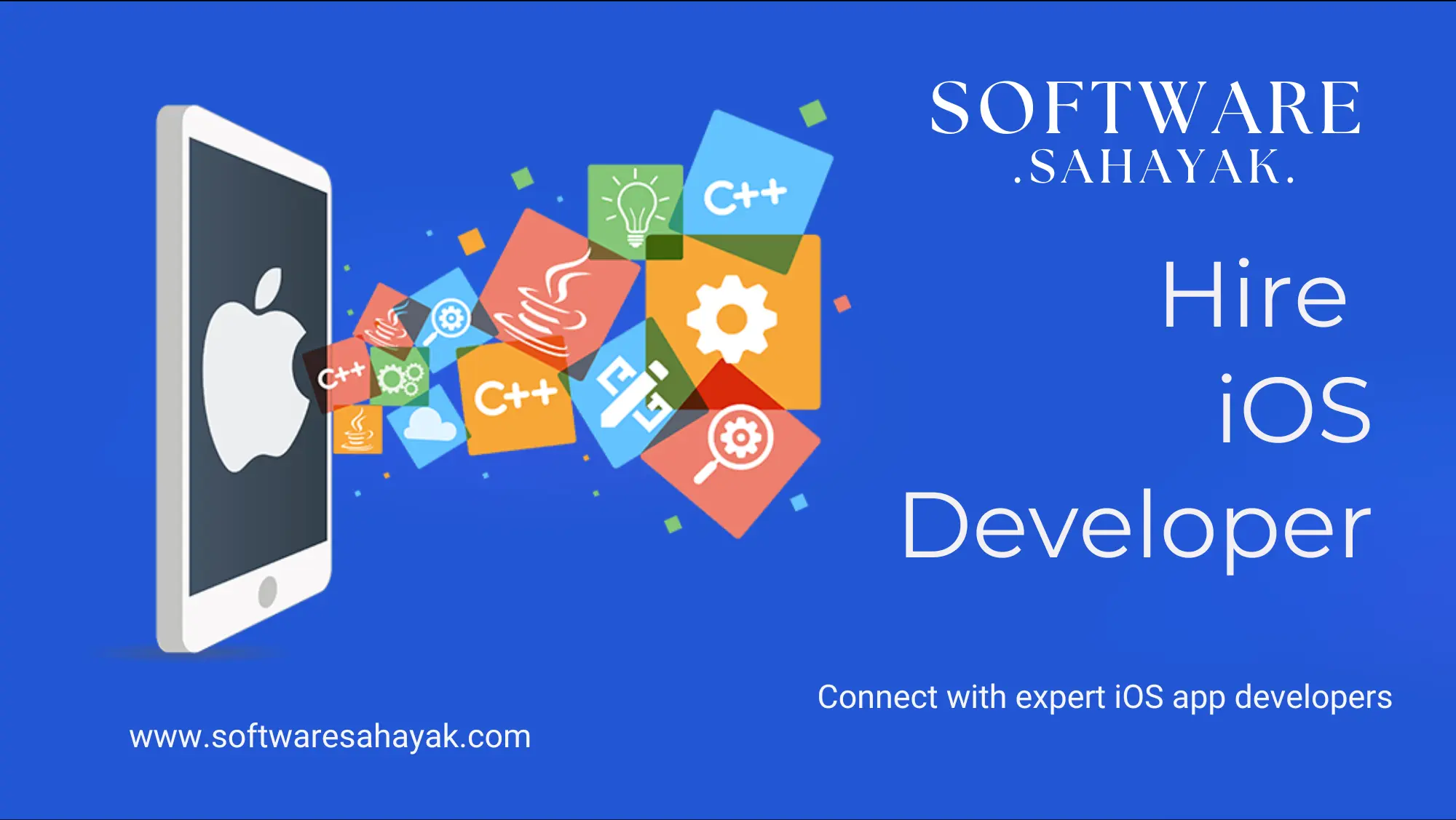 Professional iOS development team